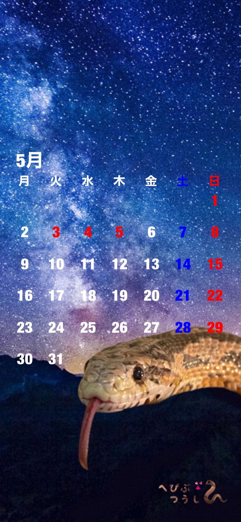 へび部通信 へび部通信 5月のカレンダーです スマホのロック画面にしまーす 今月のカレンダー へび部 へび ヘビ 蛇 スネーク Snake コーンスネーク アオダイショウ ボールパイソン ニホンヤモリ カレンダー Calender 5月 May 壁紙