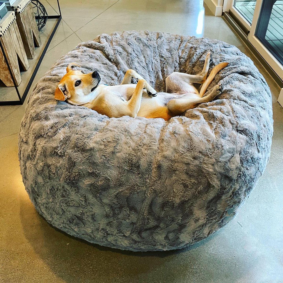 Lovesac's tweet photo. Feet (paws) up all weekend long! 🐾

Remember to tag us or add our hashtags – #Lovesac or #LovesacFamily – to be featured. ❤️ #LoveOfTheMonth https://t.co/b3j1J18eAL