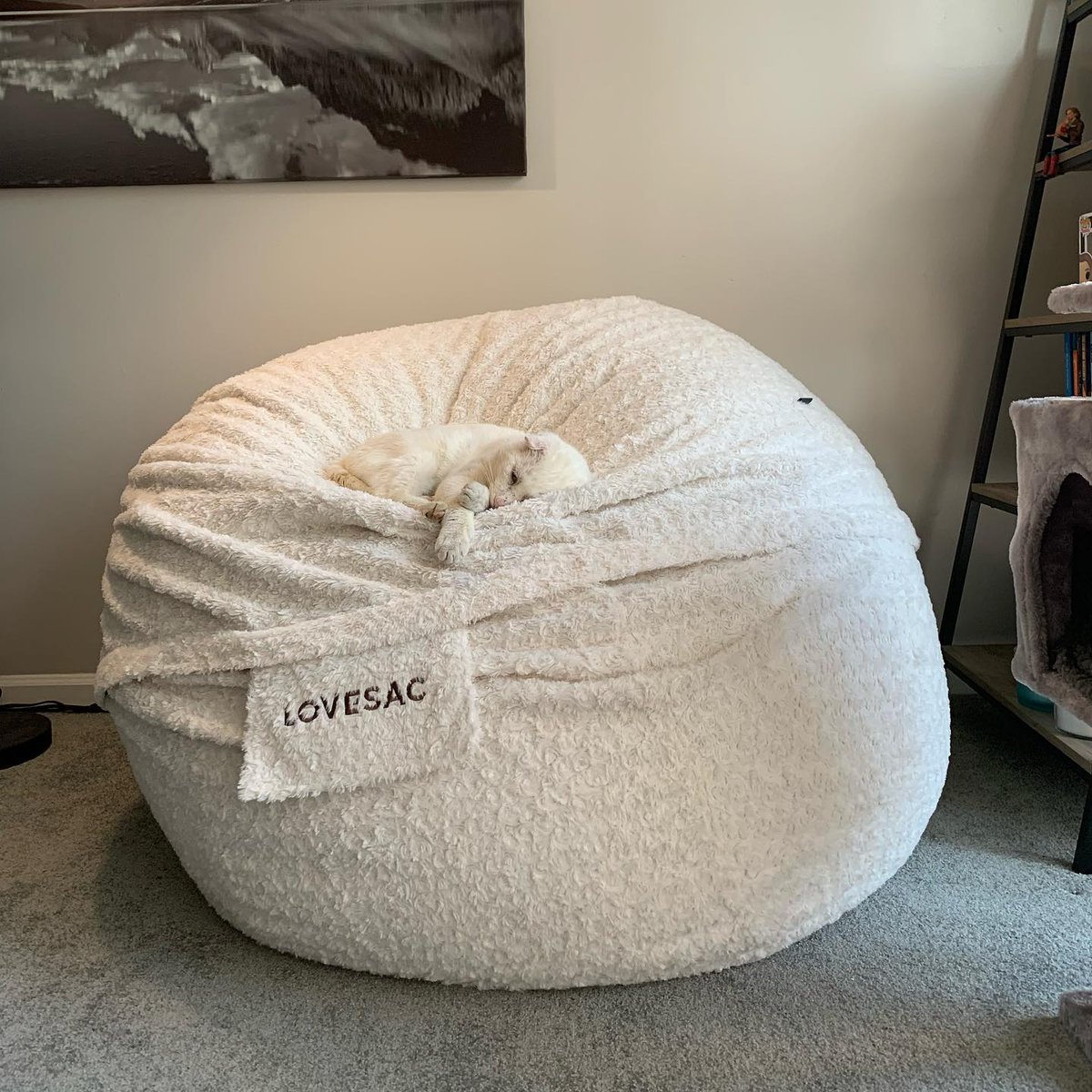 Lovesac's tweet photo. Feet (paws) up all weekend long! 🐾

Remember to tag us or add our hashtags – #Lovesac or #LovesacFamily – to be featured. ❤️ #LoveOfTheMonth https://t.co/b3j1J18eAL