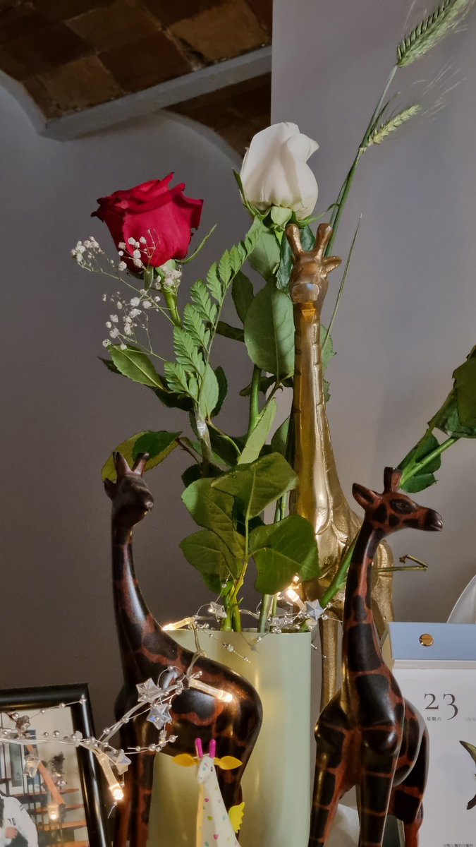 23th April 
Sant Jordi in Barcelona🌹🤍