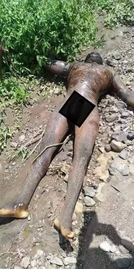 Sanyiikoo_Oromo's tweet photo. Extremely disturbing news from Bishoftu, #Oromia.
#AbiyAhmed’s forces have executed &amp; dumped the bodies of more than a dozen #Oromo detainees. The bodies were discovered by locals. @CNNAfrica @BBCAfrica @Reuters @EUCouncil @StateDept @UNHumanRights @hrw @amnesty @humanrights1st https://t.co/A1vCsnEdNT