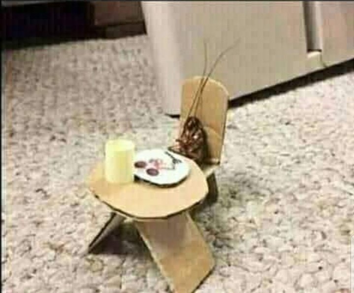 its__kashh's tweet photo. When u turn on the kitchen  lights at 3 am..😂 https://t.co/hgqw60wA9c