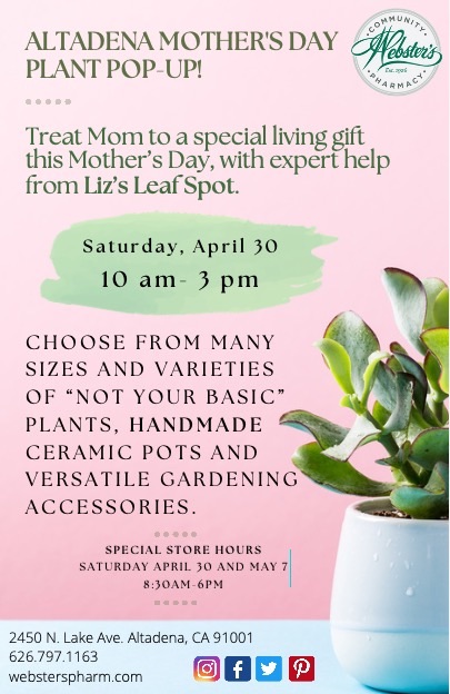 Mother’s Day plant pop up today! <a href="/WebstersPharm/">Webster's Community Pharmacy</a>