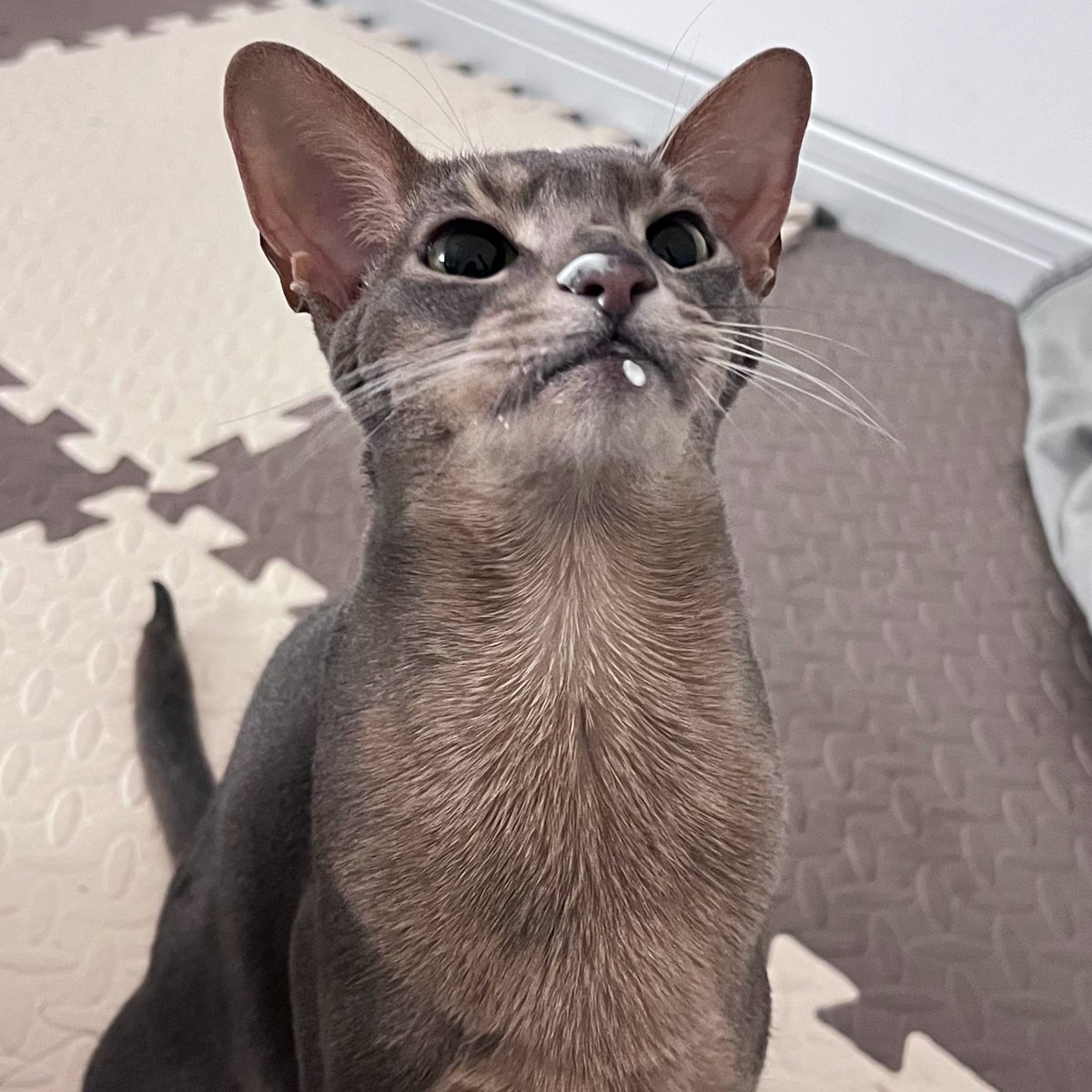 20220429 
纯欲 ​​​​

© 周八营业的普通人
#⃝袁一琦