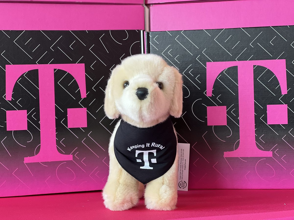 bmink_07's tweet photo. Fernandina Beach had an amazing Grand Opening 🎉 ! Loved the energy 🔥! @TMoTruckStAug @caseyd812 @kirsdon04 @MagentaBrent @markwirtz7 @xxCJ2020xx @audra_mwe https://t.co/9QlEqT7tao