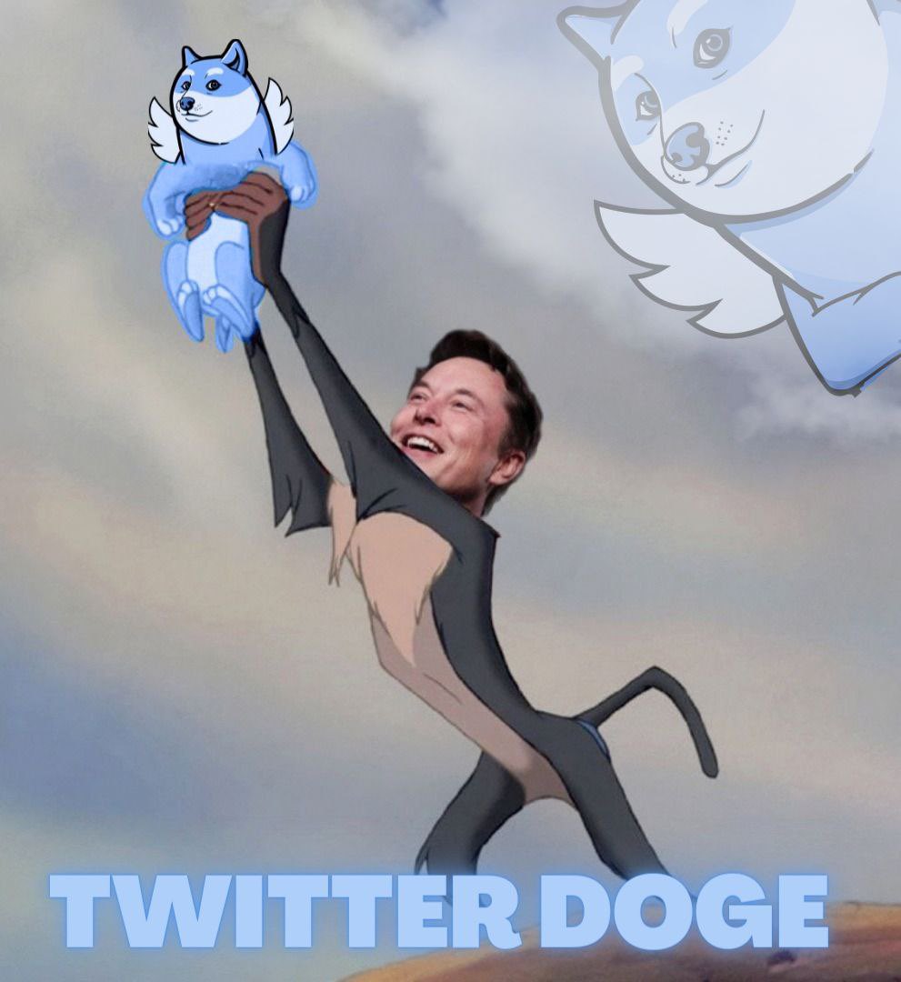 briangreene09's tweet photo. @Dogememegirl @dogecoin Only @12k cap , this should blow up with @elonmusk buying #Twitter https://t.co/OfnmRk4Jfs https://t.co/NyUanWRRer