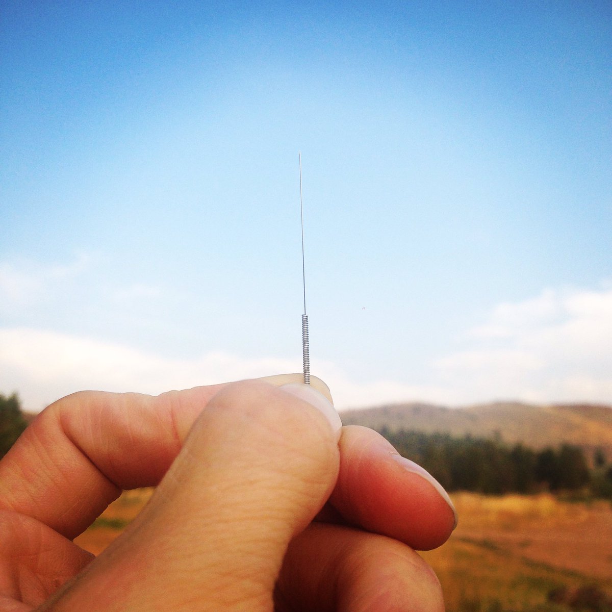 wavesincoming_'s tweet photo. I wield a fierce needle too. Only thing is mine will foster your body’s intelligence to regulate and adapt the immune response NOT insert gene editing proteins that alter your genome and antibody response to pathogens. Uphold the Upright. https://t.co/RCffJyMwbv