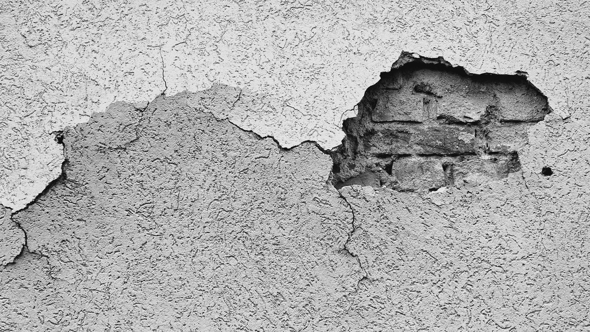 Veterinärtheologe tweet media