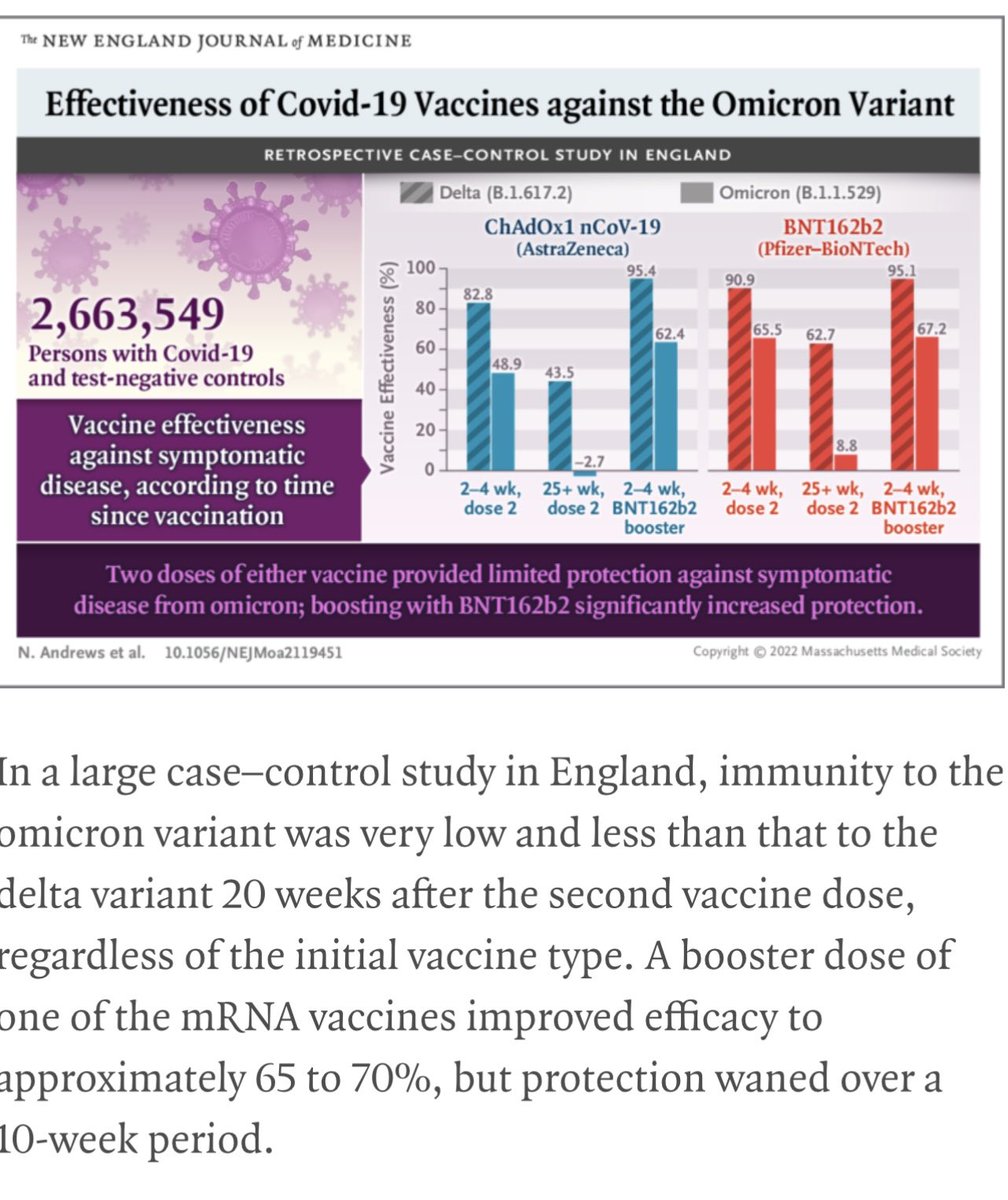 OzlemEquilsMD tweet media