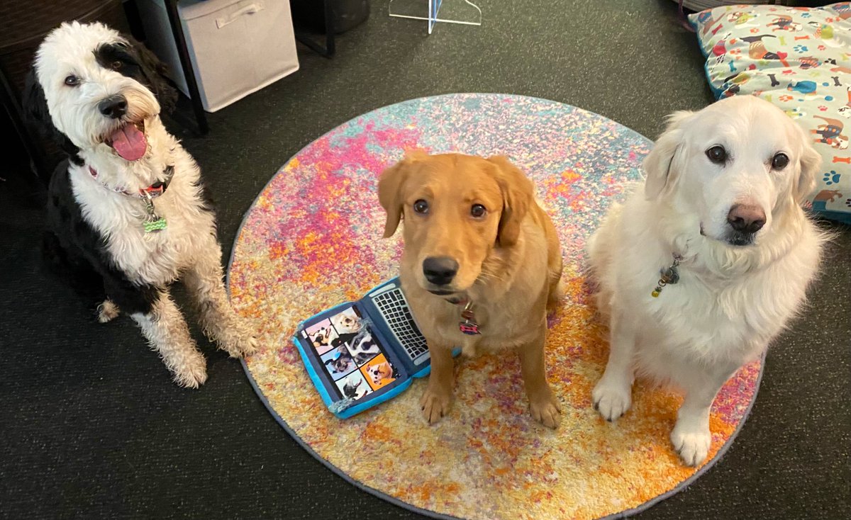 Happy National Therapy Animal Day to all the pups out there helping support students and staff! <a href="/GrayslakeNorth/">Knight Pride</a> <a href="/LHSWrigley/">Wrigley the Wildcat</a> <a href="/NovaBearLZHS/">Nova Bear</a>