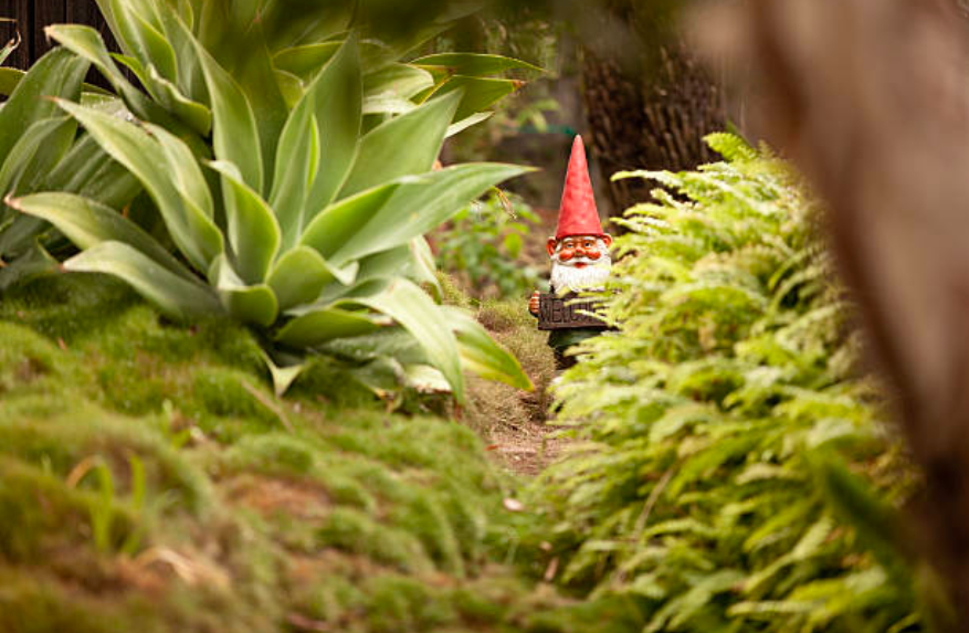 gnomishtv's tweet image. I have eyes EVERYWHERE 😈