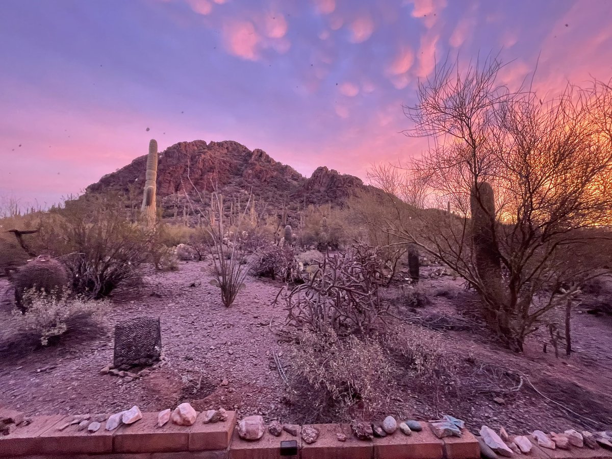 Grania64156311's tweet photo. @Chicanatravels Winter morning on #RedButteTucson. https://t.co/9GpRoIG7SF