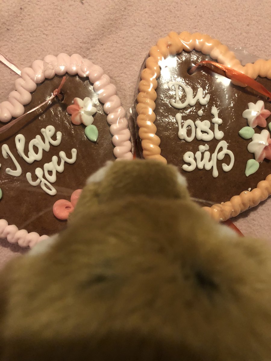 Melanie 🐯 tweet media