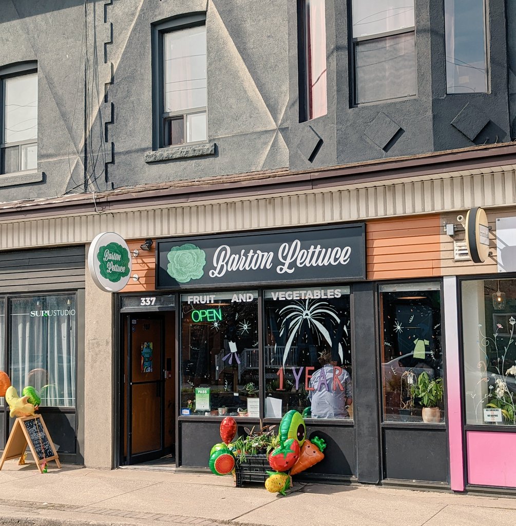 Happy 1st birthday to Barton Lettuce in <a href="/Barton_Village/">Barton Village BIA</a>! They are giving away bday gifts today &amp; Sunday - I got a seedling &amp; some seeds for my butterfly garden. #HamOnt