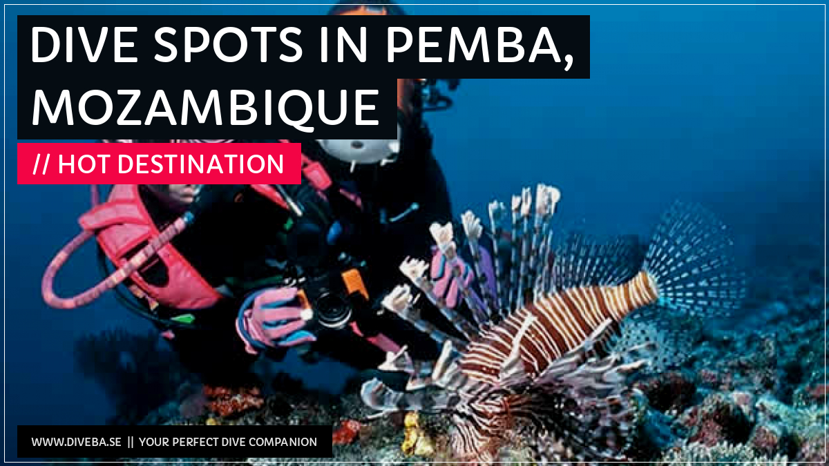 divebaseapp's tweet photo. Todays highlight:
β Dive Spots in Pemba, Mozambique
π² Download the #Divebase App for iOS and Android and discover great dive locations! https://t.co/g2ec46UG8D https://t.co/zNih0IiiDu