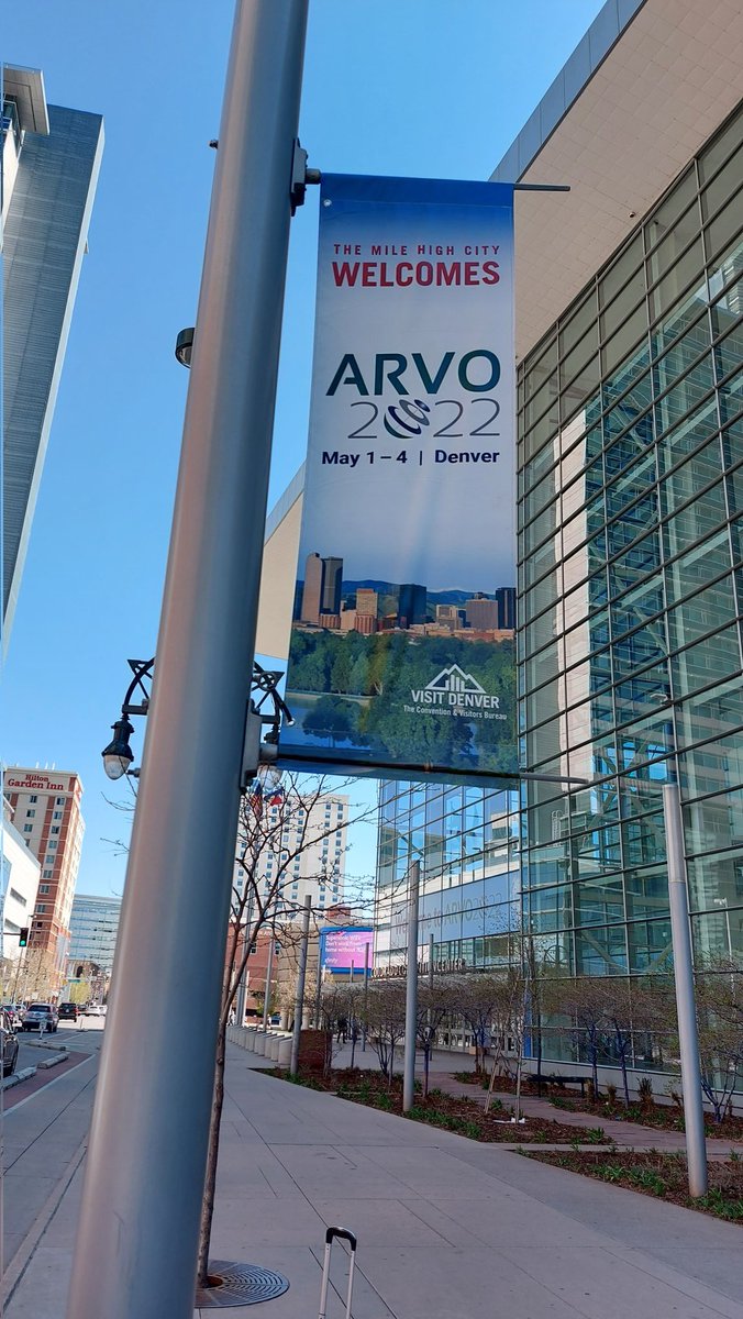 Ready for #ARVO2022! I will be presenting my research on Wednesday about using a novel multi-depth plane display to study #strabismus (among other things). <a href="/BexLab/">Bex Lab</a>