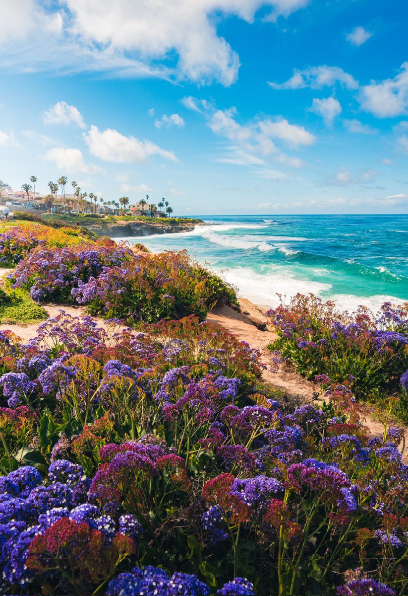 To be happy is to have a peace of mind 💙
🌸Happy day to you🌸

📸Ian Beckley