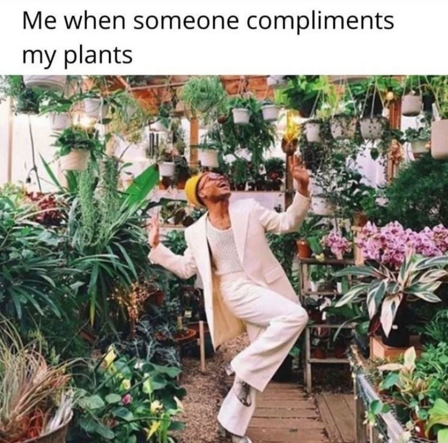 HobbyistPlant's tweet image. 