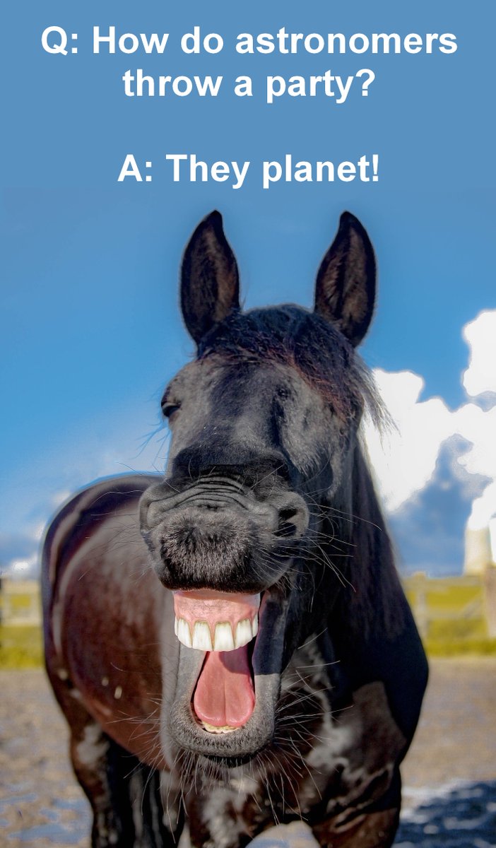 RatioScientiae's tweet photo. Even More Terrible Science Jokes and Puns #ScienceJokes #badsciencejokes #badsciencepuns Please click on the link: https://t.co/c4BUuwmCe6 https://t.co/69mBls3r16