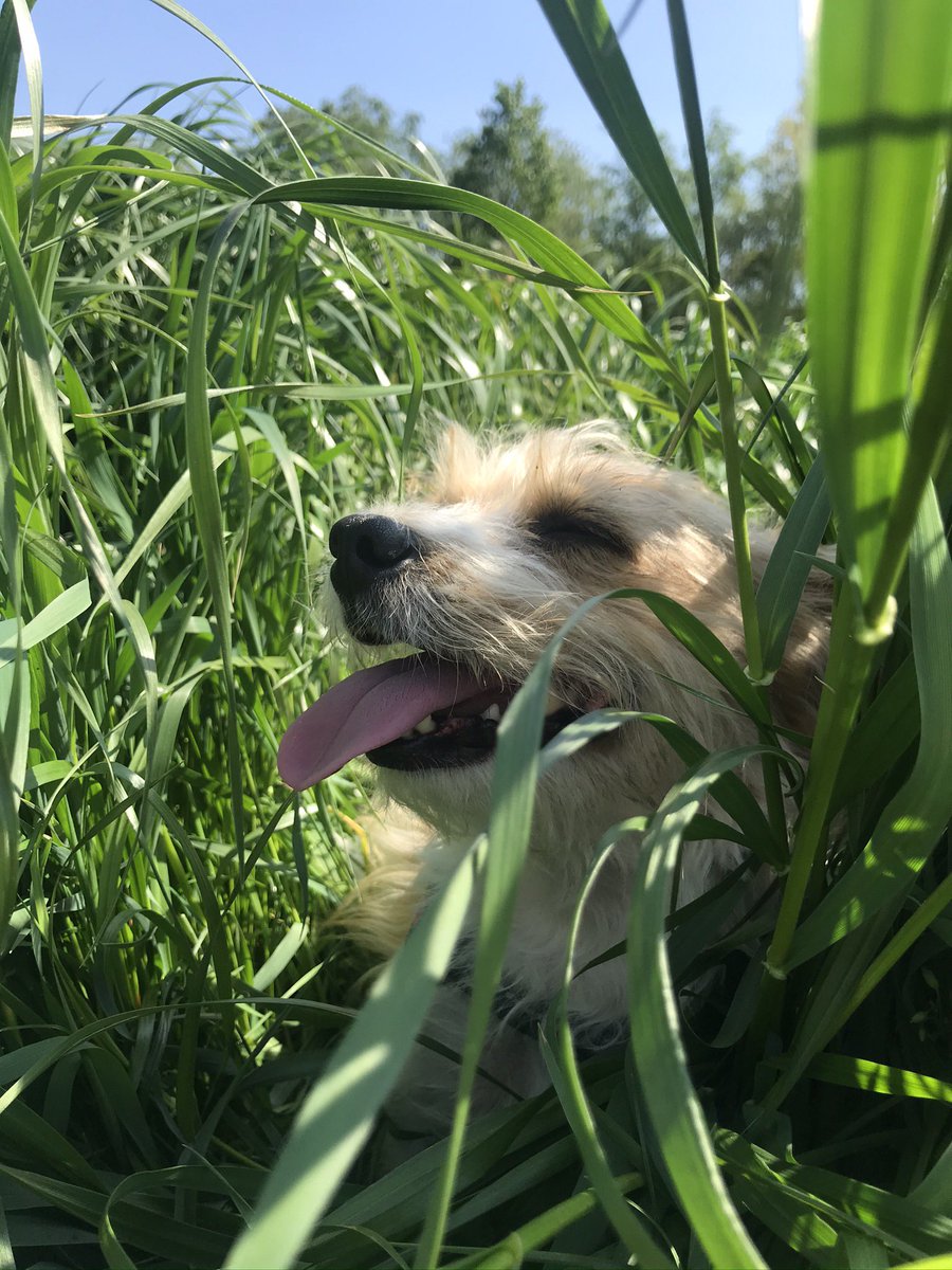 evaaa444's tweet image. Bij kiezen hoort verliezen 😪
Me baby’tje, na zo lang blijft het aan me vreten..