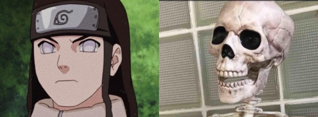 omelette salé tweet media