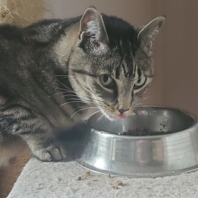 she eat-a da crunchies-a https://t.co/rxIOhigZ5u<a href="/tag/newprofilepic"class="tags"><span>#newprofilepic</span></a>