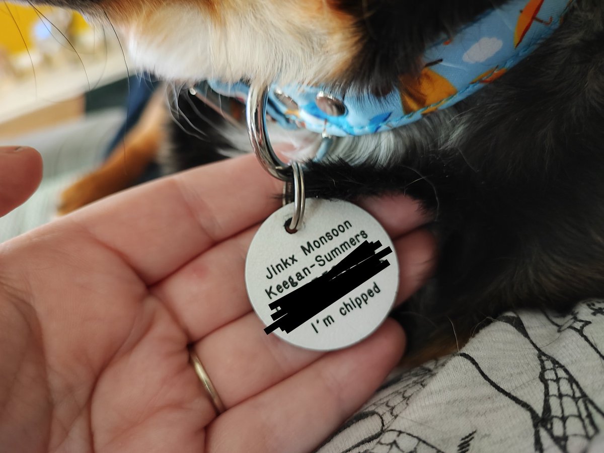 keegan_nik's tweet photo. @JinkxMonsoon we named our baby doggo after you 🥰 https://t.co/jU5677u1bP
