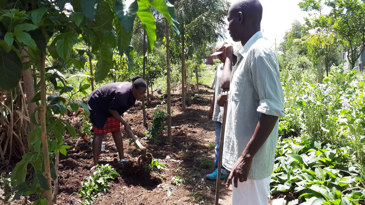 nicerawanjiruki's tweet image. #EarthBeatChallenge day 1. I don't take this for granted. As a climate champion this is humbling @OneEarthBeat 
@Steven_Ramage 
Shem who is 37 and youngest is appealing to the World Climate Conversation to be localized and to be everyone's business.