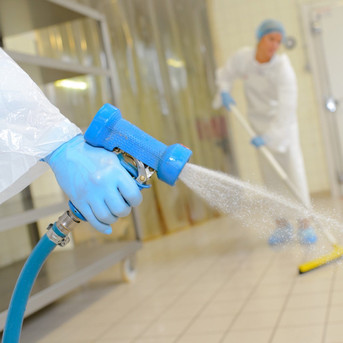 currentculture's tweet photo. Thorough cleaning processes ensure crop health and repeatable results.

#hydroponics #GMP #licensedgrower #growroomsanitation #hydroponicmanagement #cea #professionalcultivation #postharvest #currentcultureh2o #cch2o #cultivationsolutions #solutionsproviders https://t.co/uCzdP9uvJQ