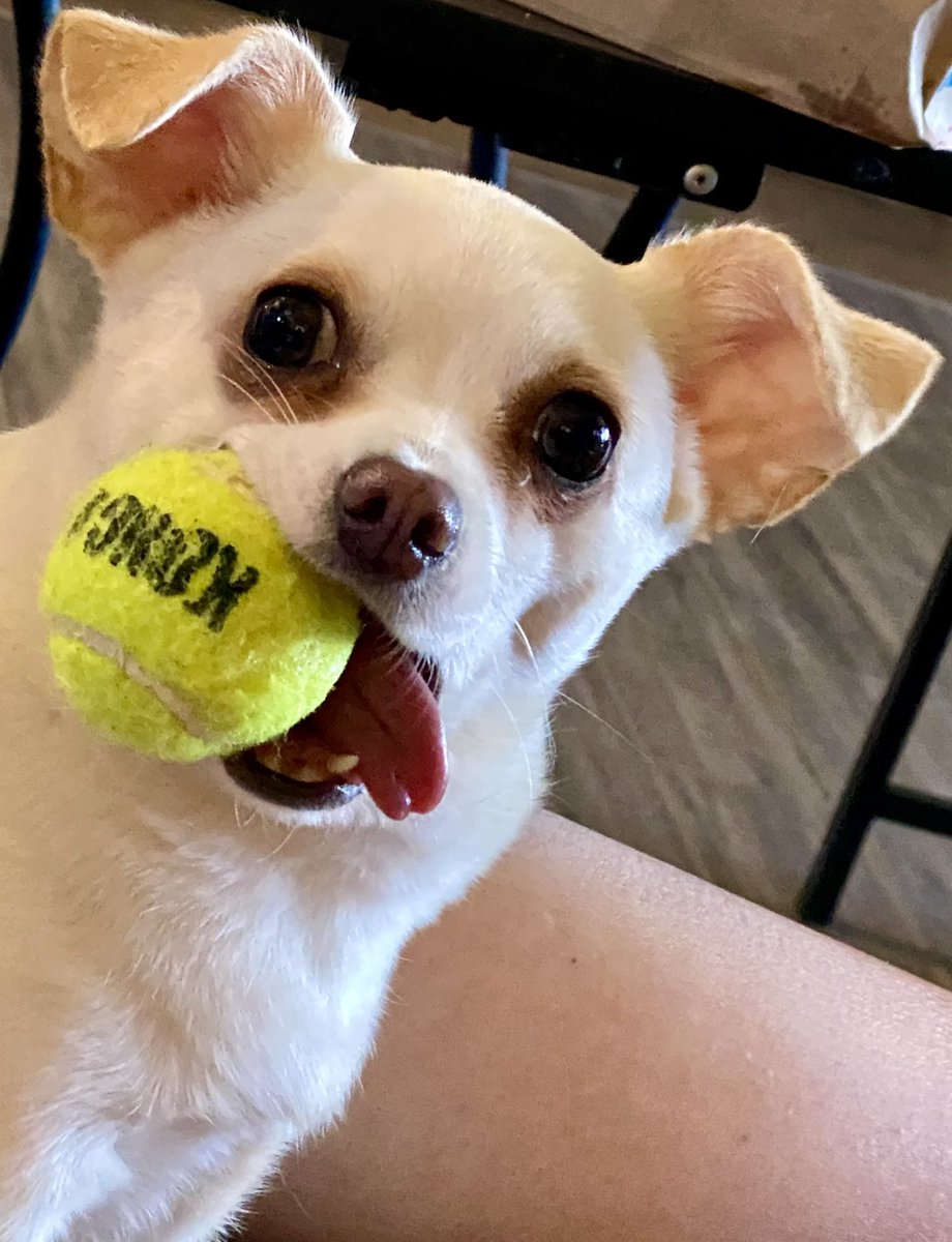 Saturday is ball day! Let’s play!