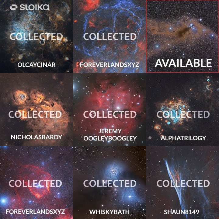 Is there a collector called "AVAILABLE"?

Umm no 😆

Anteater Nebula is still waiting to be collected...

Let's find a home for this cute animal...

RT QT 💙♥️ / Link 👇