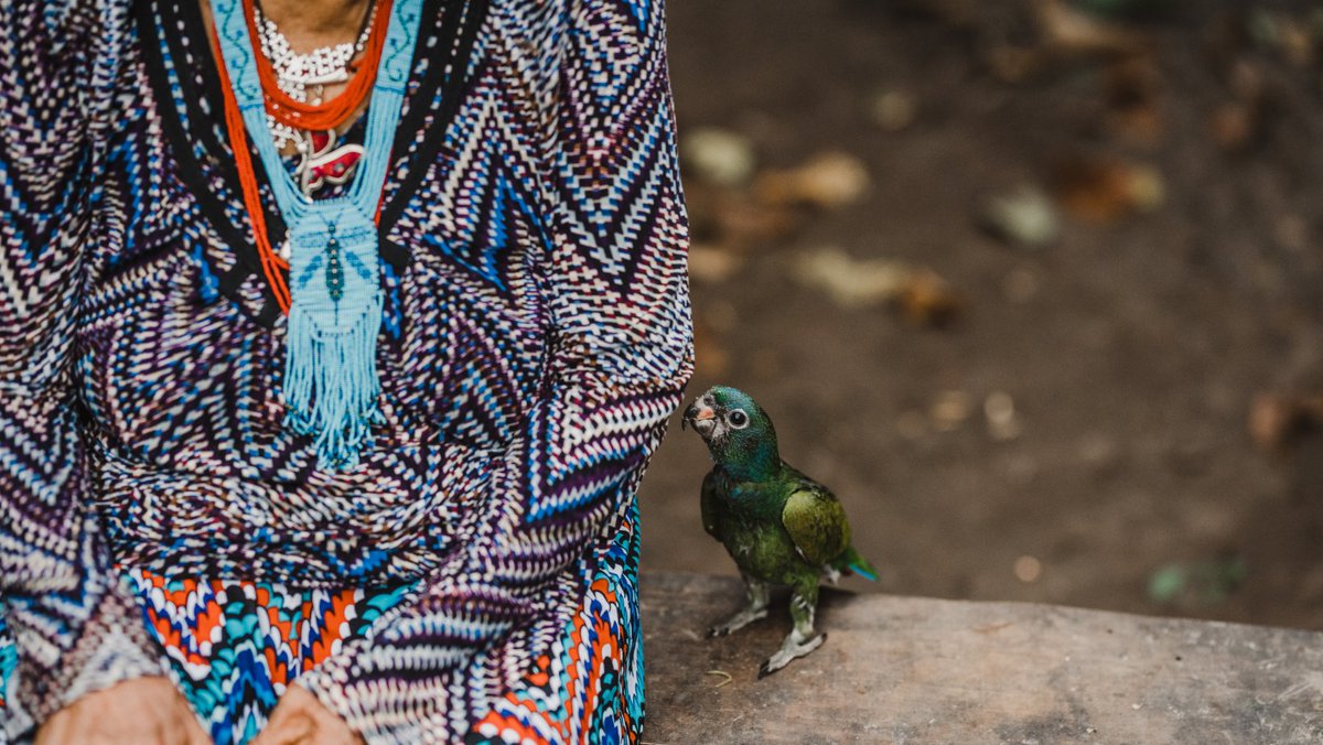 “#Climategrief comes in many forms. There is the bereavement-like grief and trauma when a climate change-enhanced ‘natural disaster’ hits you or your close ones. Think of people in the Amazon basin or Australia after the catastrophic fires” <a href="/BBC/">BBC</a>
🌏 #TheMagnitudeofAllThings