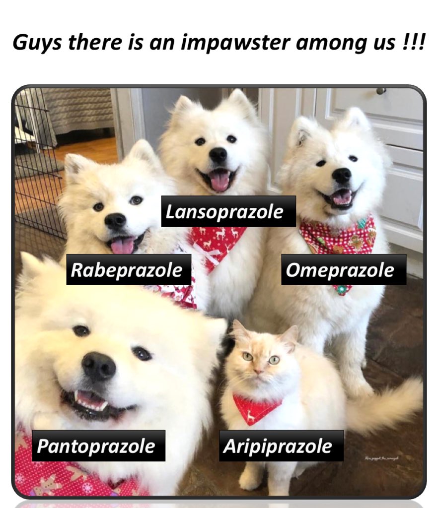 simplify_drugs's tweet photo. Ha ha 😂

Let’s talk about the impawster 🐈 

#pharmacology #MedStudentTwitter #MedTwitter https://t.co/IYnmuE6HRp