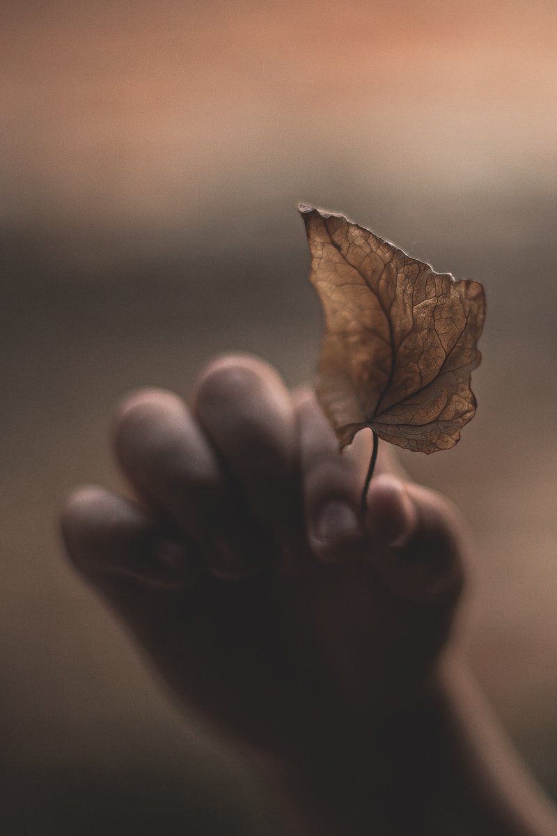 NakamuraMerissa's tweet photo. Sometimes the only thing that will remain is just a photograph. 🍂 https://t.co/oH8OfJ2tH8
