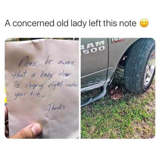 WholesomeMeme's tweet photo. https://t.co/OATL19dE4W