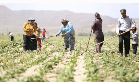 Çalışarak, üreterek, alnının teriyle evine helal lokma götüren tüm çalışan dostlarımızın 'Emek ve Dayanışma Günü'nü kutlar; sağlık, mutluluk ve başarılar dileriz.
#emekvedayanışmagünü
