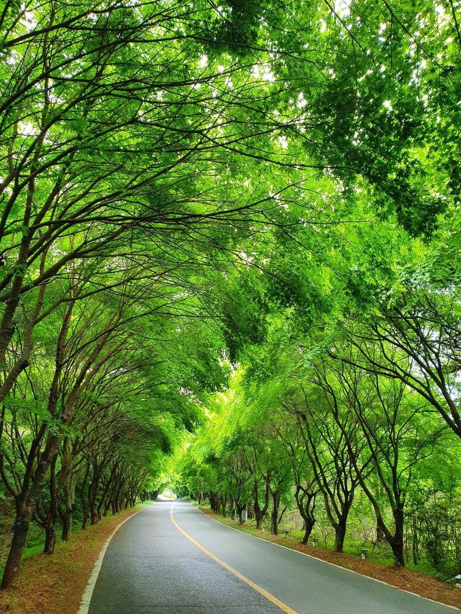 푸른띠섬 (@spsuh) on Twitter photo 