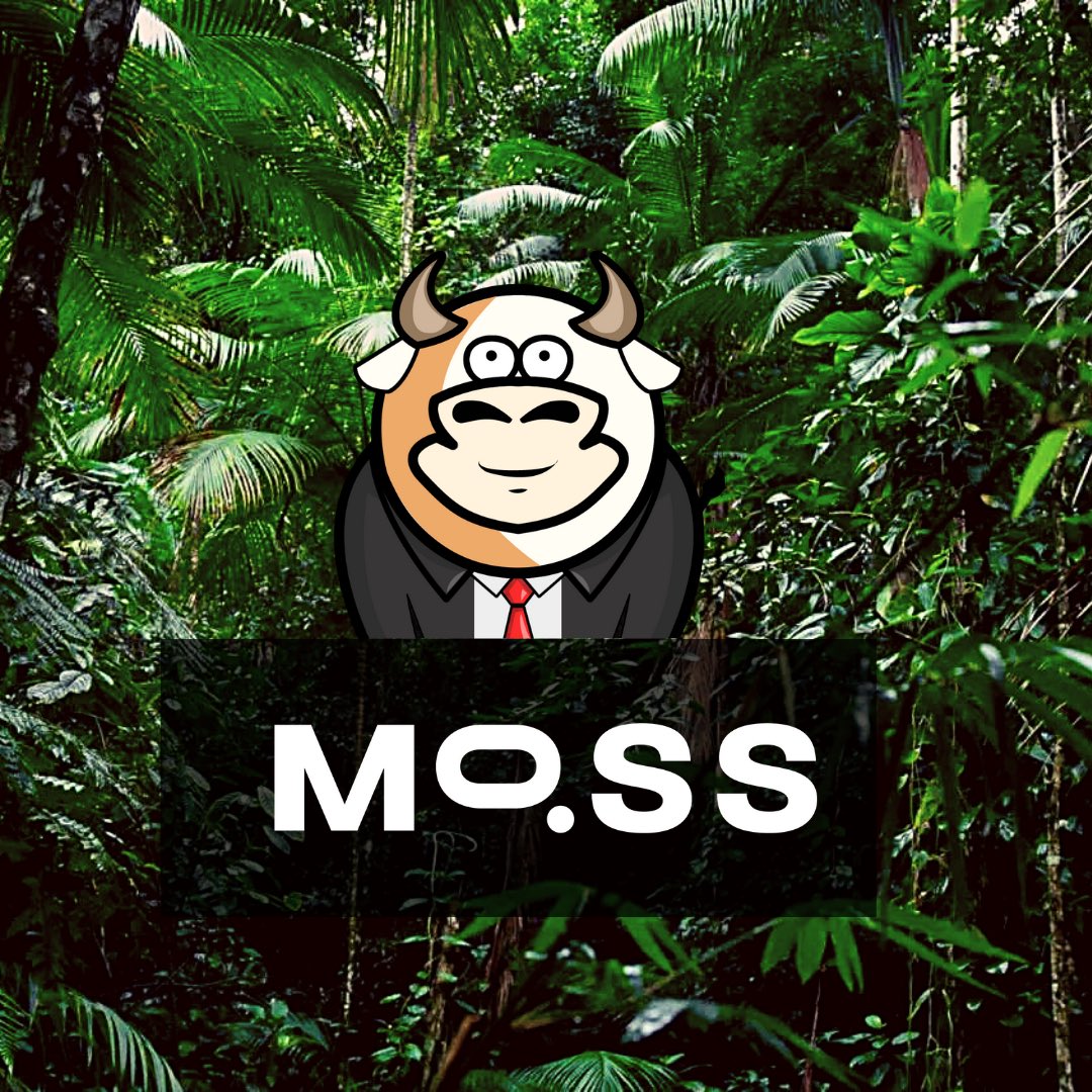 co2w.club tweet media