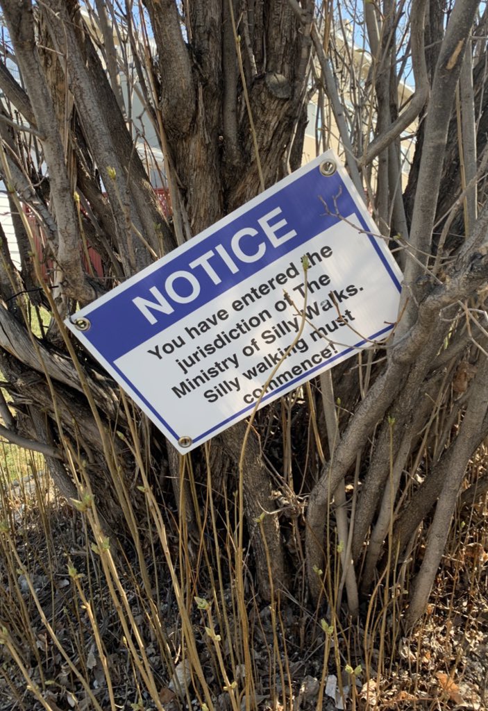 canadachandra's tweet photo. Today was a great reminder of so many of the reasons why I love my ‘hood.

#yeg #queenalex #oldstrathcona #sillywalks #montypython #iykyk https://t.co/ubAp4Wv1zk