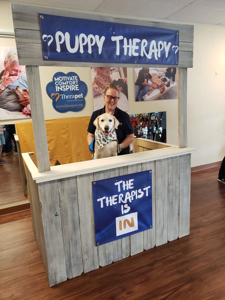 KimPaetzel's tweet photo. National Therapyanimals day Radar is hanging out at the Therapet office @therapetaat https://t.co/Eio1gNFkvP