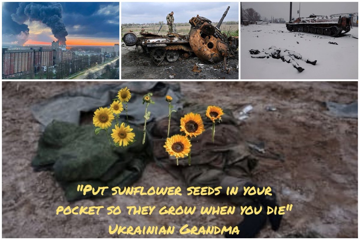 calizonie's tweet image. Which would be a worse punishment for a  #RussianGeneral #Gerasimov?
Going to the front to #PlantSunflowers or to #gulag?
#StandWithUkraine
