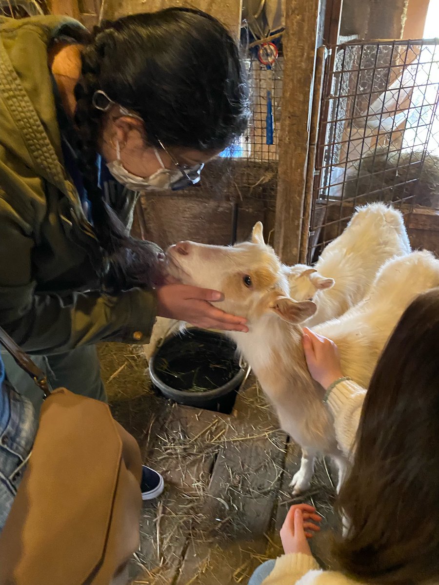 BaconYoungDems's tweet photo. This week we visited Tara Rescue Farm in Coventry. They have the biggest heart but are in desperate need of volunteers &amp; donations! If you can help, visit or check out https://t.co/mQX3Bd3OGh https://t.co/6uMcPeR6ae