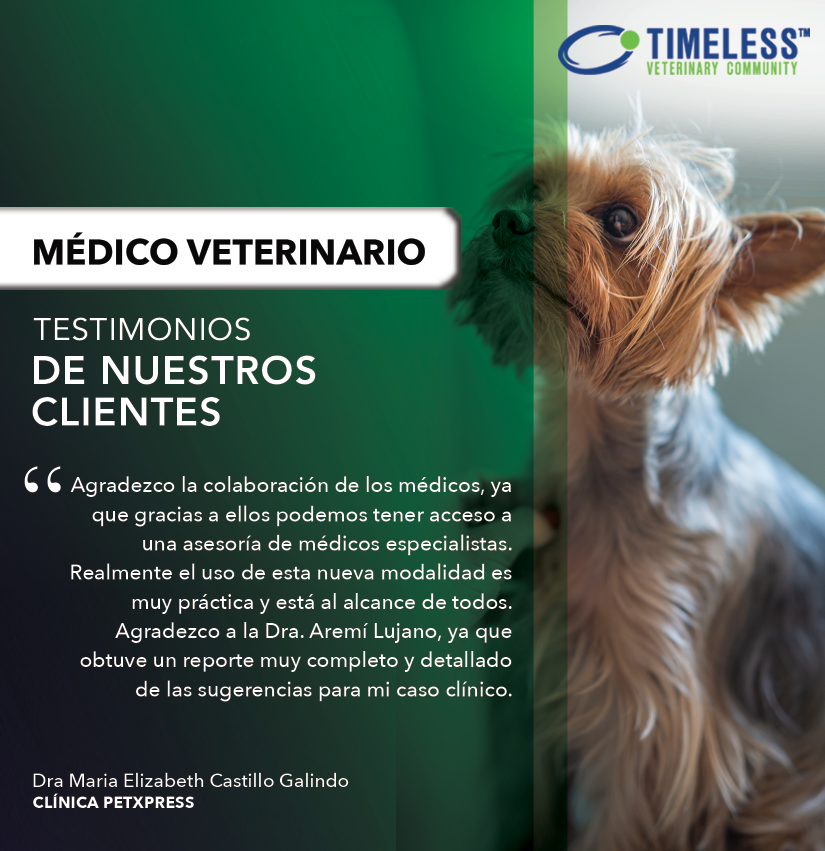 TimelessVetES's tweet photo. #MédicoVeterinario ¿Qué dicen tus colegas sobre su experiencia al utilizar Timeless?
🔸 Recuerda que con Timeless podrás consultar dudas en casos clínicos con colegas expertos de España y América Latina, para que te brinden orientación en cualquier caso.

https://t.co/0iJy6sHsbU https://t.co/pz0yjXGwZm