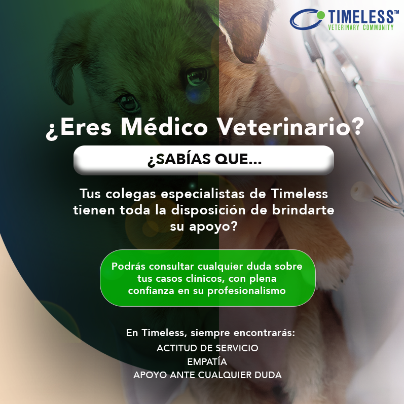 TimelessVetES's tweet photo. #MédicoVeterinario Sabemos que cuando se necesita consultar alguna duda en un caso clínico con otro colega, uno de los factores más importantes es la confianza en esa persona.

Regístrate en https://t.co/JsUndpAK6m https://t.co/qqkcqzQc6n