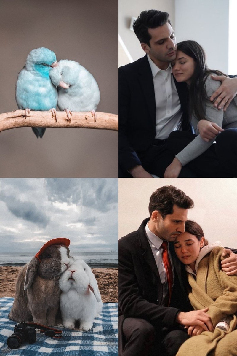 laaam0_0's tweet photo. I will continue to collect this type of cutest pictures ☺️❤️ I had fun when i collected them😁
#yargı #القضاء #ilgey
@kaanurgancioglu | @pinardeniz12 https://t.co/cFegD4v7aG