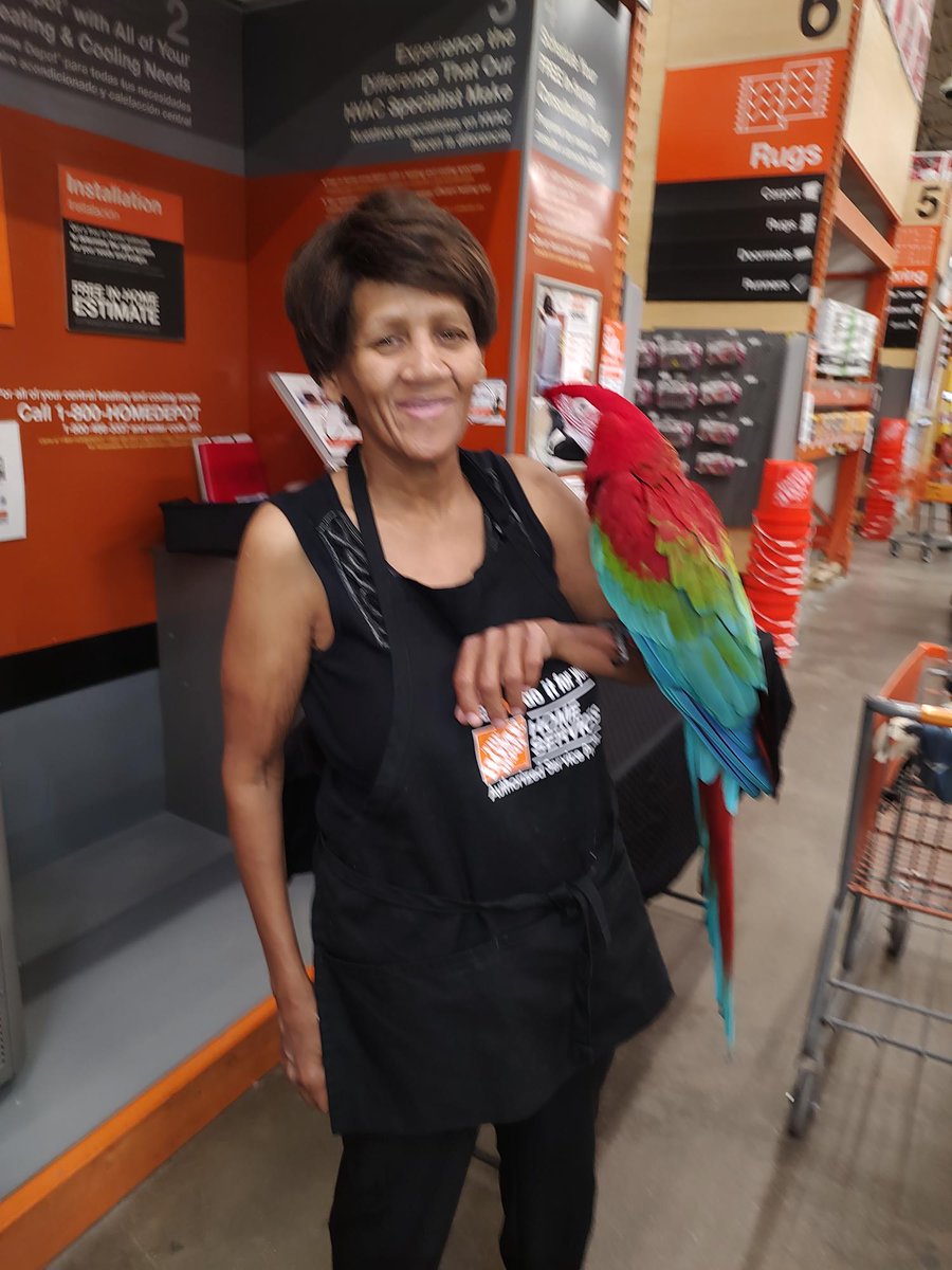 Erica Mclendon tweet media