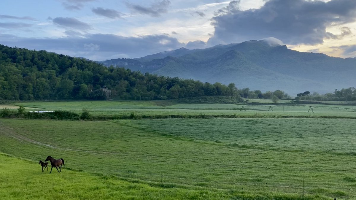 vadorverges's tweet photo. S’apaga el dia a la Vall d’en Bas, però s’apaga bé. 💚 https://t.co/kDyU574D61