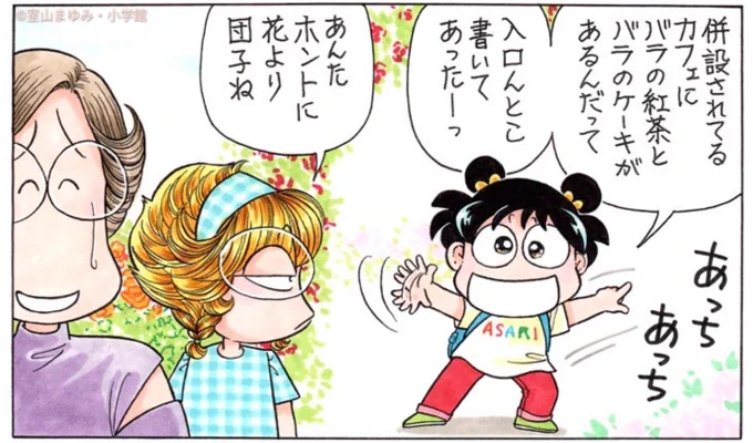 きれいな花を見ると、いやされるね。

バラ園に行ったよ。

バラって種類がいっぱいあるんだね。 