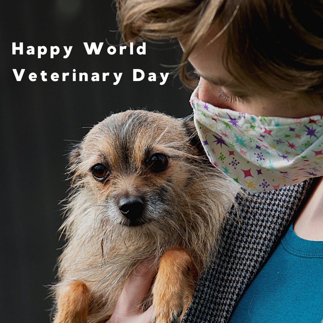 BothellPetHosp's tweet image. To our amazing team and all the veterinary professionals, around the world, Happy World Veterinary Day! Your dedication and commitment to care knows no bounds. We celebrate you! #bothellpet #bothell #veterinarian #vettechs #weloveourteam #veterinary