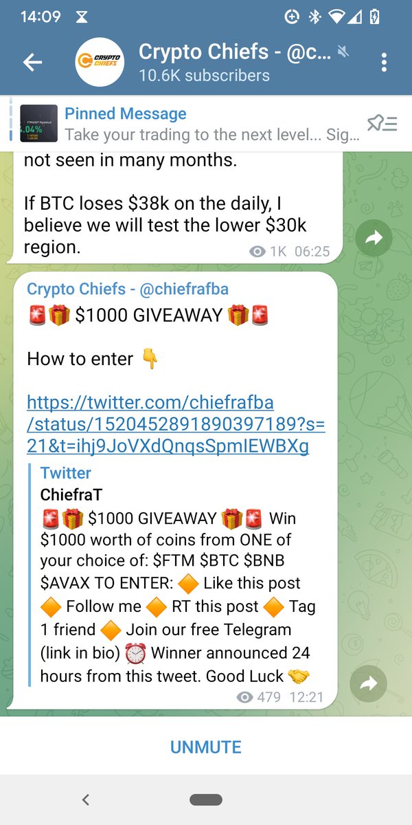 IlonaCrypto's tweet photo. @ChiefraFba @BornToBeCrypto https://t.co/yuMjB9YJIi